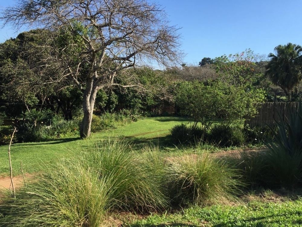 Ngoye Lodge Mtunzini Exteriör bild